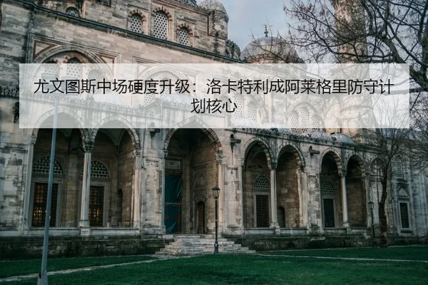 you-wen-tu-si-zhong-chang-ying-du-sheng-ji-luo-ka-te-li-cheng-a-lai-ge-li-fang-shou-ji-hua-he-xin-2-190.jpg