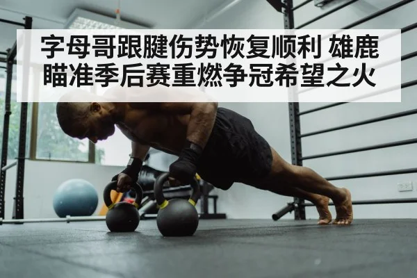 字母哥跟腱伤势恢复顺利 雄鹿瞄准季后赛重燃争冠希望之火